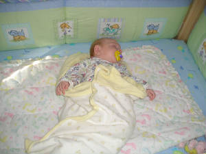 picture_087.jpg