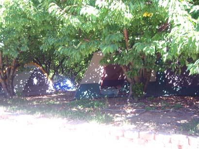 tentcity.jpg
